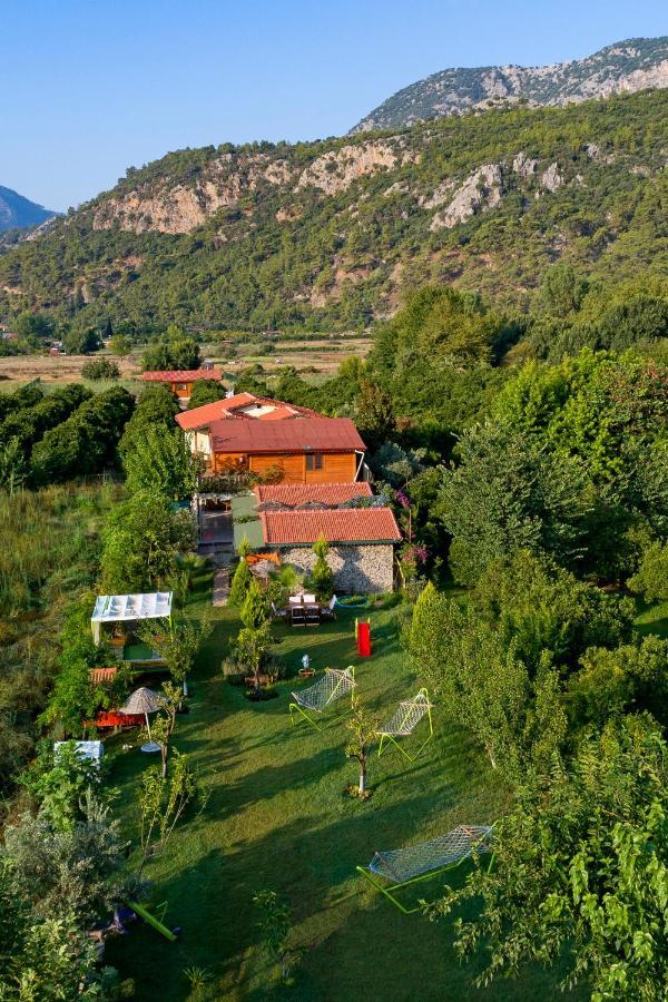 Ferienwohnung Flora Pansiyon Cirali Kemer Exterior foto