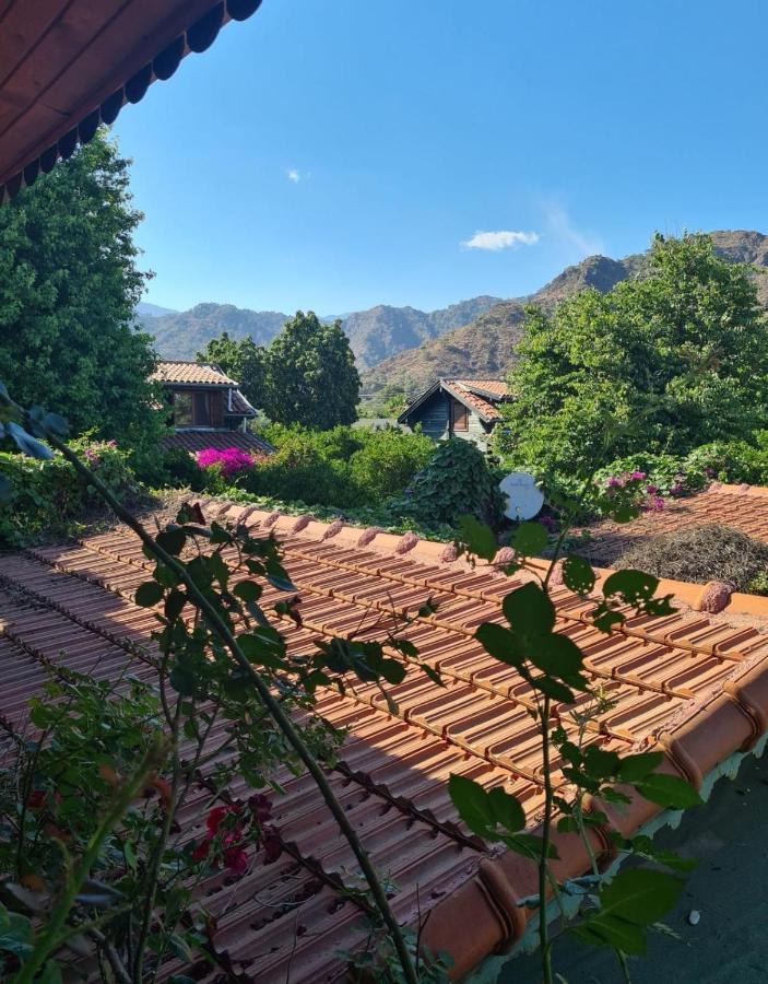 Ferienwohnung Flora Pansiyon Cirali Kemer Exterior foto