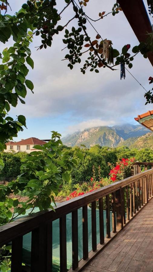 Ferienwohnung Flora Pansiyon Cirali Kemer Exterior foto