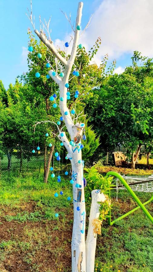 Ferienwohnung Flora Pansiyon Cirali Kemer Exterior foto