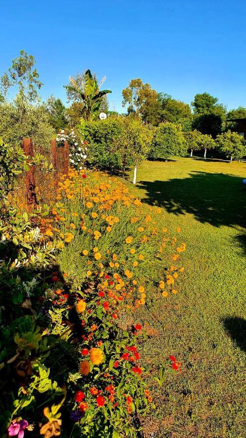 Ferienwohnung Flora Pansiyon Cirali Kemer Exterior foto