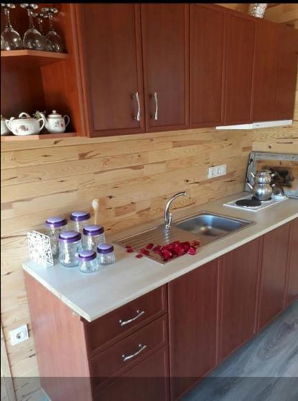 Ferienwohnung Flora Pansiyon Cirali Kemer Exterior foto