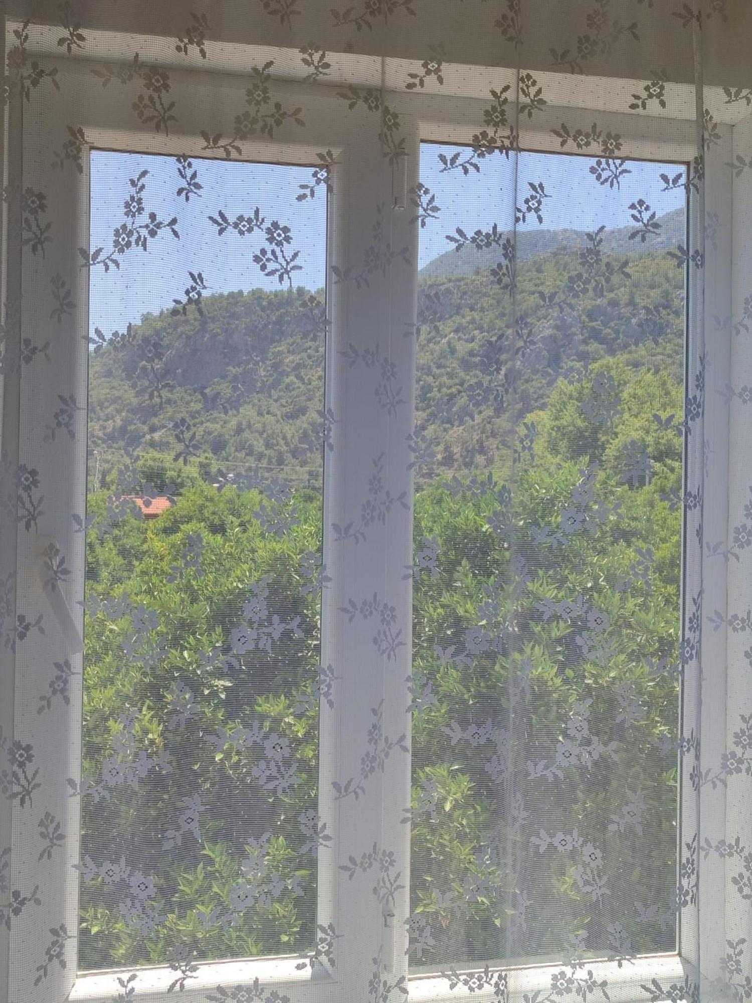 Ferienwohnung Flora Pansiyon Cirali Kemer Exterior foto